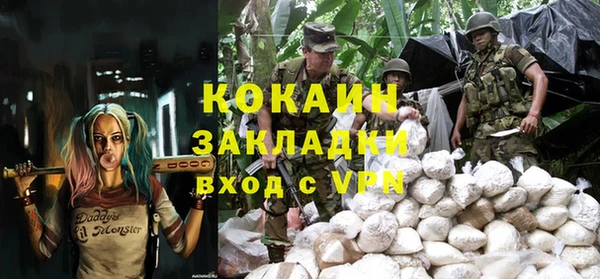 дурь Новодвинск