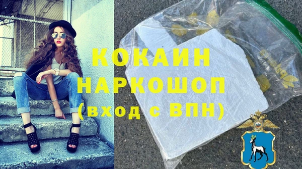 дурь Новодвинск