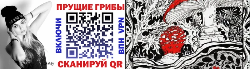 наркота  Тимашёвск  Псилоцибиновые грибы MAGIC MUSHROOMS 